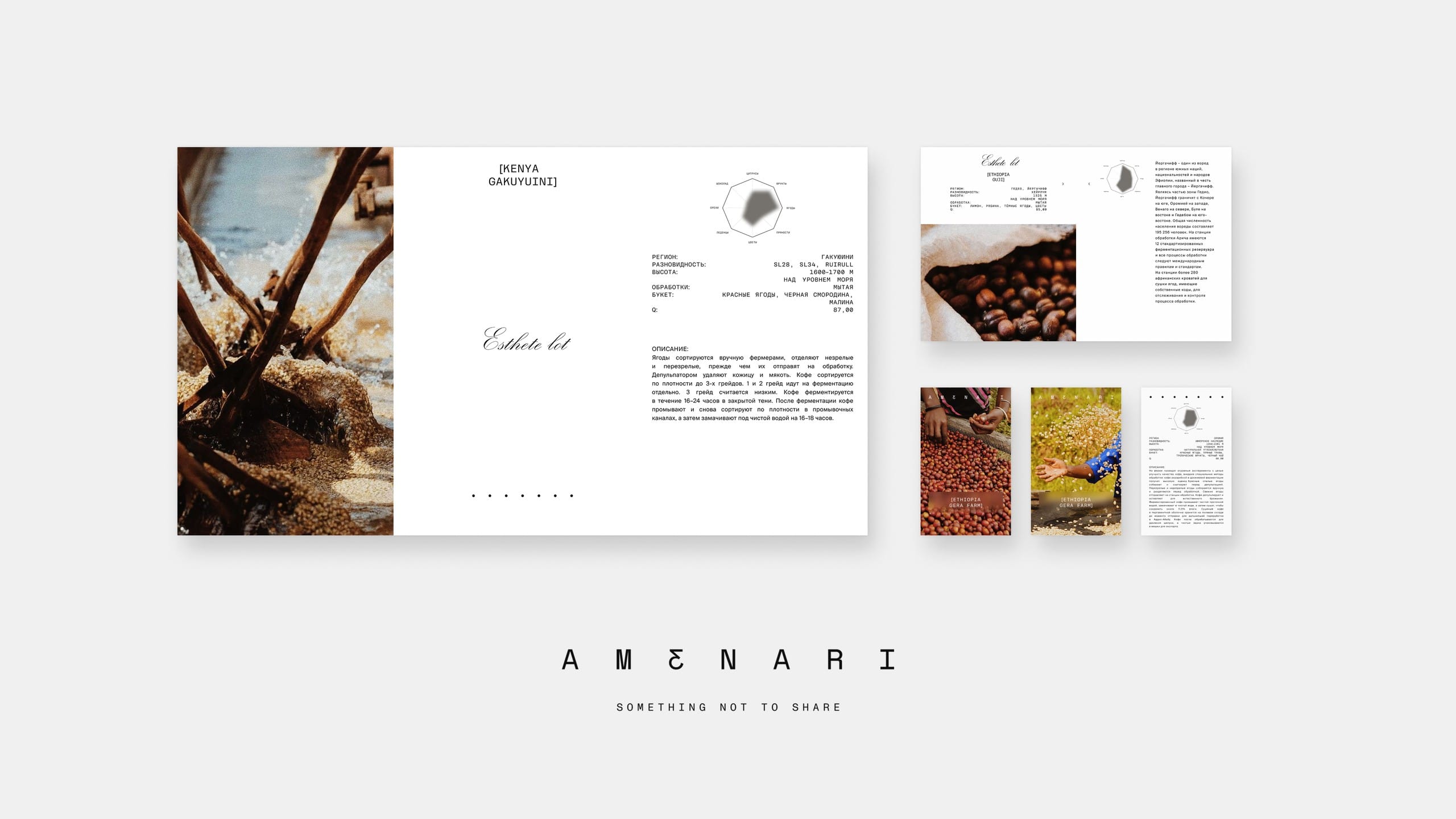 брендинг Amenari - Image 2